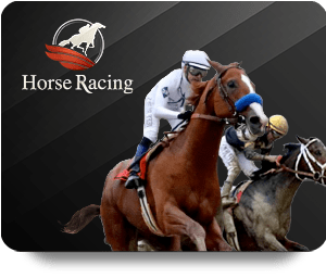 ZingPlay Casino Royal: Ultimate Guide to Winning Big
